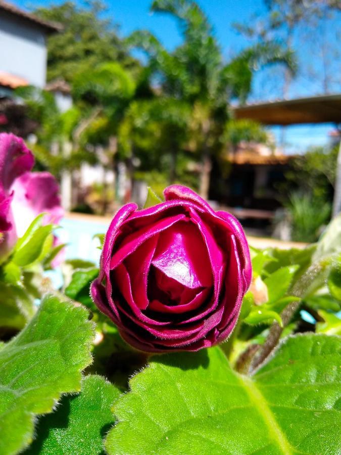 Albergue Jardim Secreto *