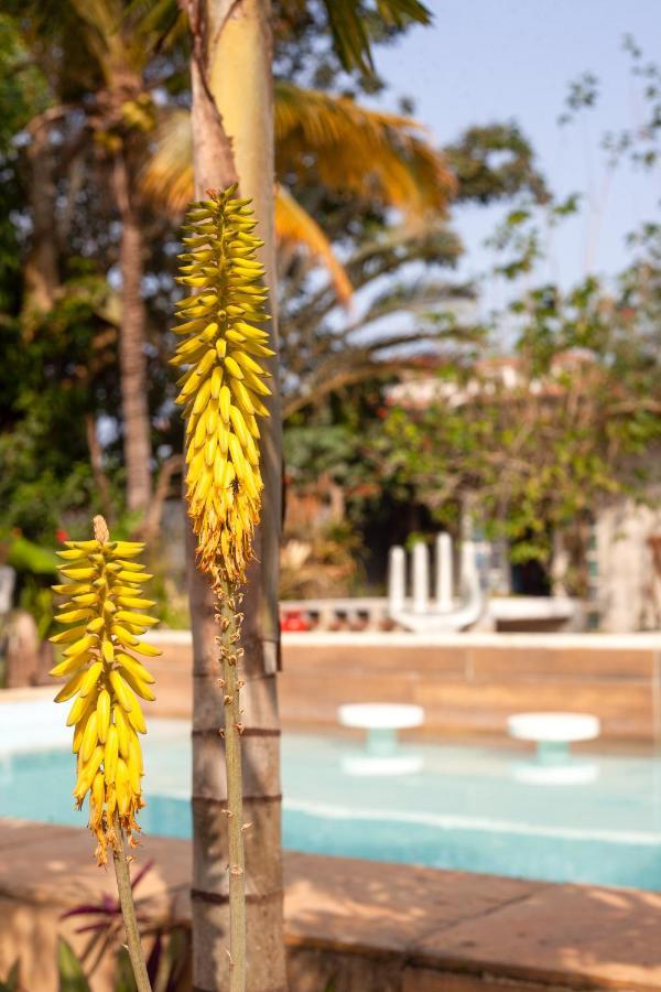Jardim Secreto *